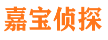 通海市侦探调查公司